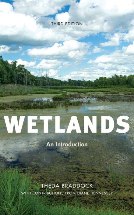 Wetl和s: An Introduction