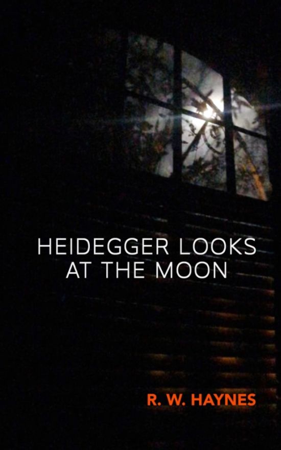 海德格尔看月亮