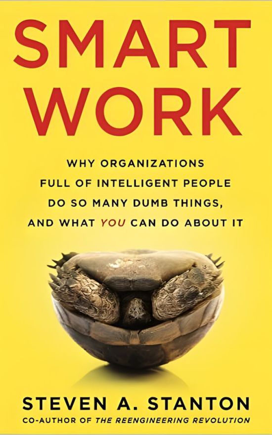 《聪明的工作:为什么满是聪明人的组织会做这么多愚蠢的事情，以及你能做些什么