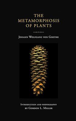 Metamorphosis-of-Plants-Goethe.jpg